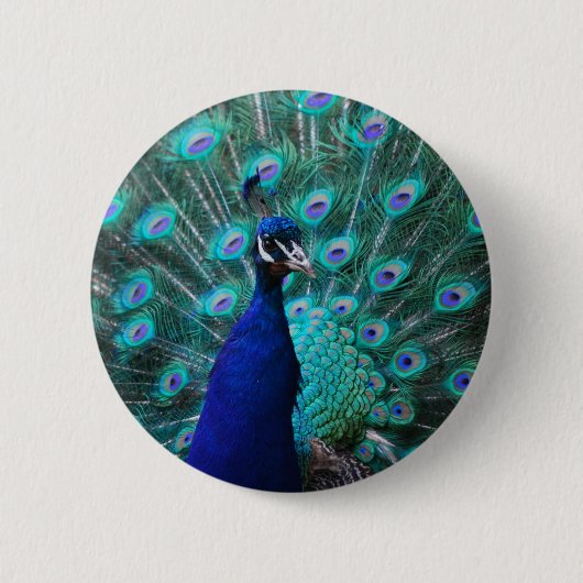 Peacock-Button Ronde Button 5,7 Cm (Voorkant)