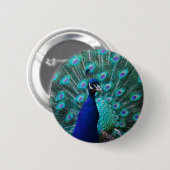Peacock-Button Ronde Button 5,7 Cm (Voorkant /achterkant)