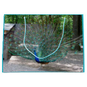 Peacock-cadeau Groot Cadeauzakje (Voorkant)