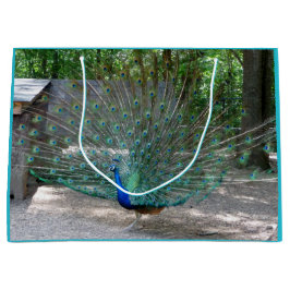 Peacock-cadeau Groot Cadeauzakje