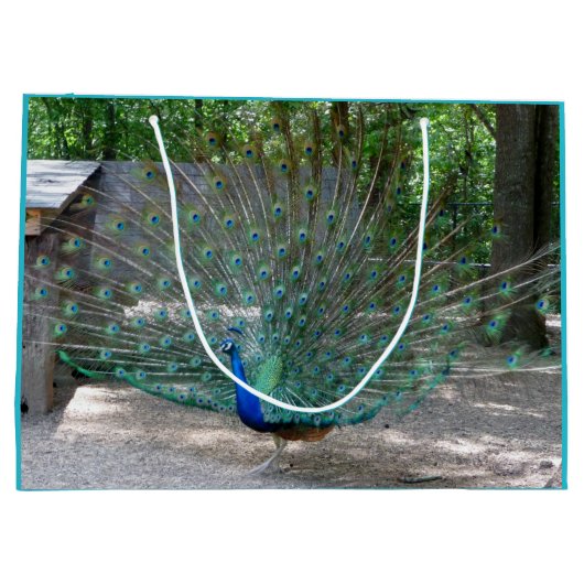 Peacock-cadeau Groot Cadeauzakje (Achterkant)