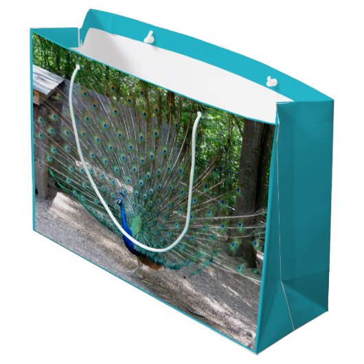 Peacock-cadeau Groot Cadeauzakje (Achterkant Gekanteld)