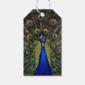 Peacock Cadeaulabel (Voorkant)