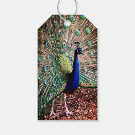 Peacock Cadeaulabel