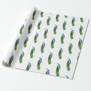 Peacock Cadeaupapier