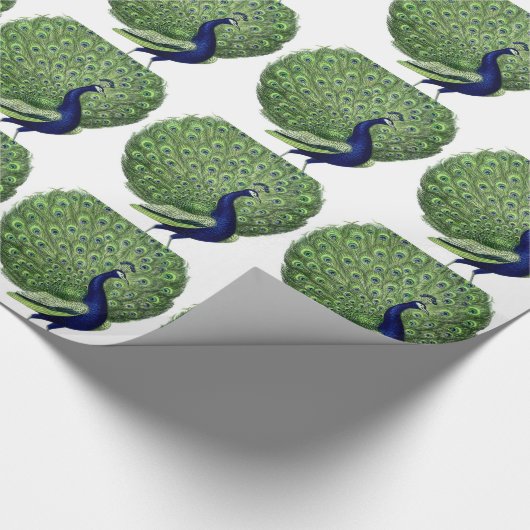  Peacock Cadeaupapier (Hoek)