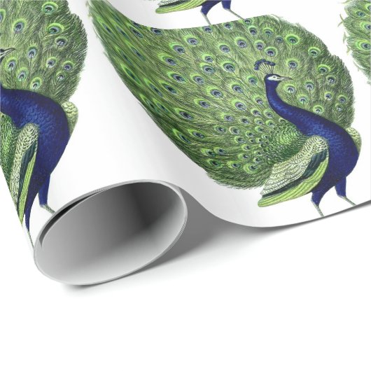 Peacock Cadeaupapier (Rol Hoek)