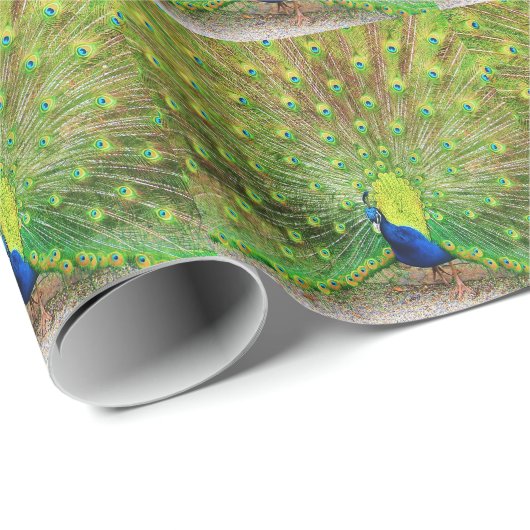 Peacock Cadeaupapier (Rol Hoek)