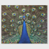 Peacock Cadeaupapier (Vlak)