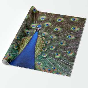 Peacock Cadeaupapier