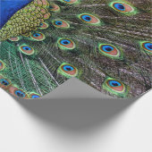 Peacock Cadeaupapier (Hoek)