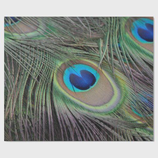 Peacock Cadeaupapier (Vlak)