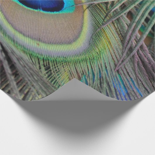 Peacock Cadeaupapier (Hoek)