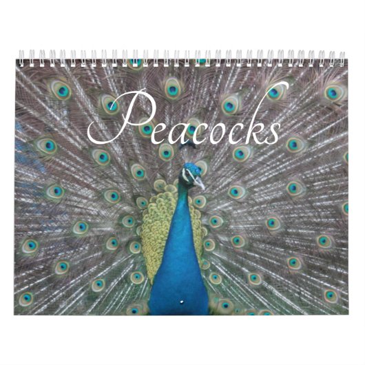 Peacock Calendar Kalender (Hoes)