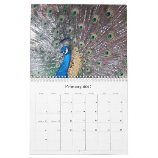Peacock Calendar Kalender (Feb 2027)