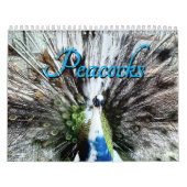Peacock Calendar Kalender (Hoes)