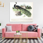Peacock Canvas Afdruk (Insitu (Woonkamer))