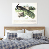 Peacock Canvas Afdruk (Insitu (Slaapkamer))