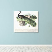 Peacock Canvas Afdruk (Insitu (Houten vloer))