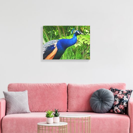 Peacock Canvas Afdruk (Insitu (Woonkamer))