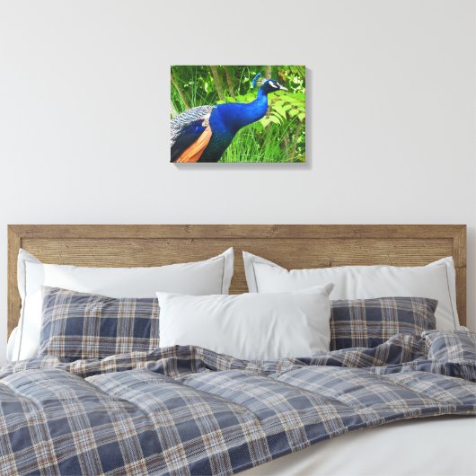 Peacock Canvas Afdruk (Insitu (Slaapkamer))