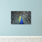 Peacock Canvas Afdruk (Insitu (Houten vloer))