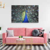 Peacock Canvas Afdruk (Insitu (Woonkamer))