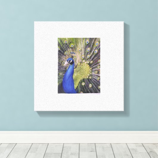 Peacock Canvas Afdruk (Insitu (Houten vloer))