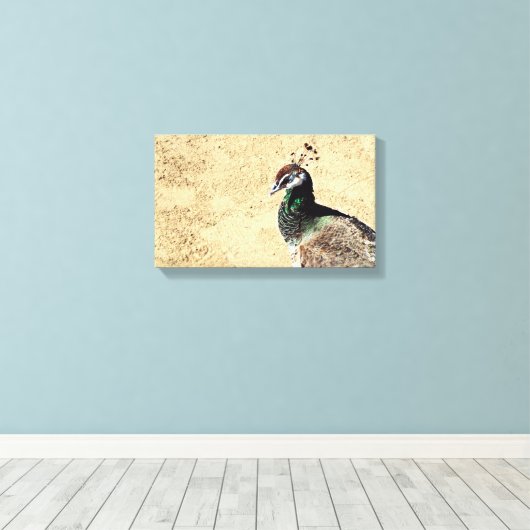 Peacock Canvas Afdruk (Insitu (Houten vloer))