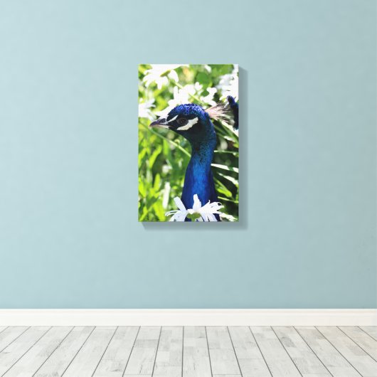 Peacock Canvas Afdruk (Insitu (Houten vloer))