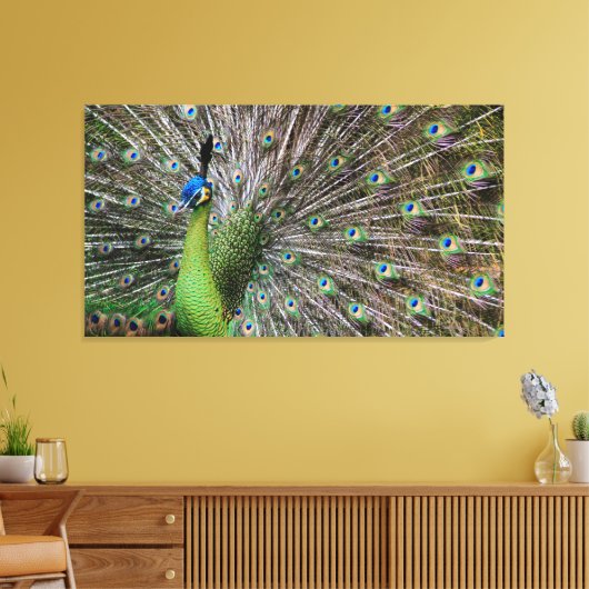 Peacock Canvas Afdruk (Insitu (Woonkamer))