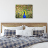 Peacock Canvas Print (Insitu (Slaapkamer))