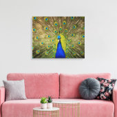 Peacock Canvas Print (Insitu (Woonkamer))