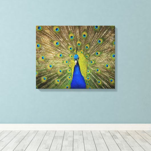 Peacock Canvas Print (Insitu (Houten vloer))
