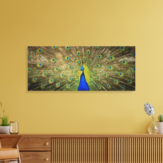 Peacock Canvas Print (Insitu (Woonkamer))