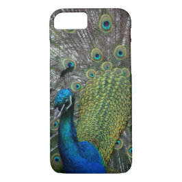 Peacock iPhone 8/7 Hoesje
