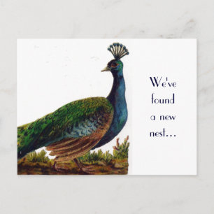  Peacock Change of Address-Briefkaart Aankondigingskaart