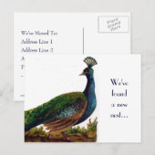 Peacock Change of Address-Briefkaart Aankondigingskaart (Voorkant / Achterkant)