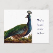  Peacock Change of Address-Briefkaart Aankondigingskaart (Voorkant)