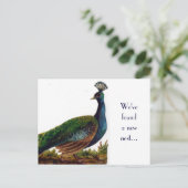Peacock Change of Address-Briefkaart Aankondigingskaart (Staand voorkant)