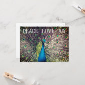 Peacock Christmas Card Kaart (Voorkant / Achterkant in situ)