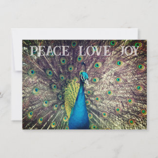 Peacock Christmas Card Kaart