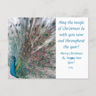Peacock Christmas Postcard Feestdagenkaart