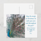 Peacock Christmas Postcard Feestdagenkaart (Voorkant / Achterkant)