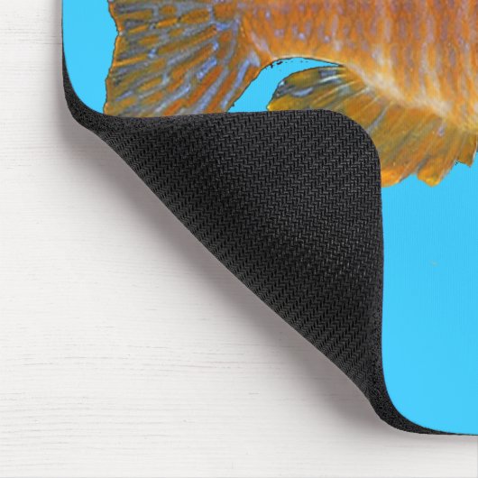 Peacock Cichlid Muismat (Hoek)