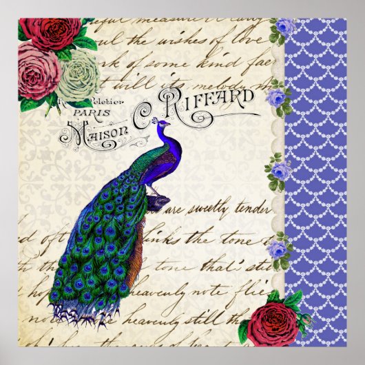  Peacock Collage art poster (Voorkant)