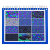 Peacock Colors Kalender (Hoes)