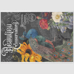  Peacock Conservatory and Botanical Garden Tissuepapier