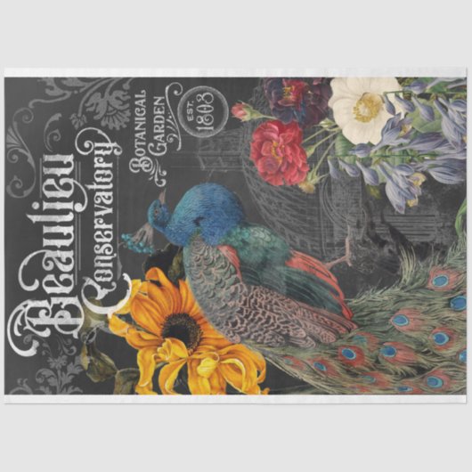  Peacock Conservatory and Botanical Garden Tissuepapier (Voorkant)