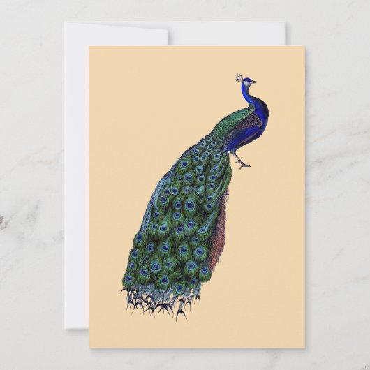 Peacock Couple's Shower Invitations Kaart (Achterkant)